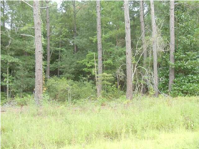 0 W Turner Dr, Summerville, SC 29483