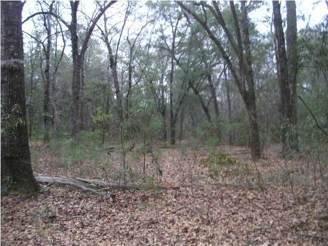 1 Mill Spring Rd LOT A1, Hollywood, SC 29449