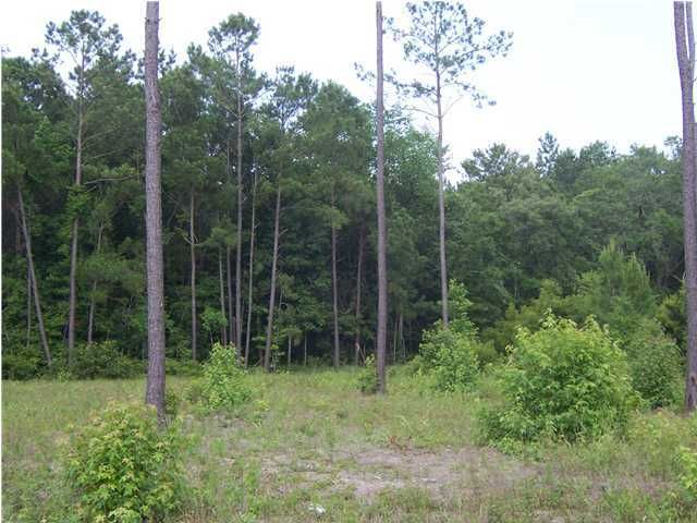 1190 Hester Waker Ln, Mcclellanville, SC 29458