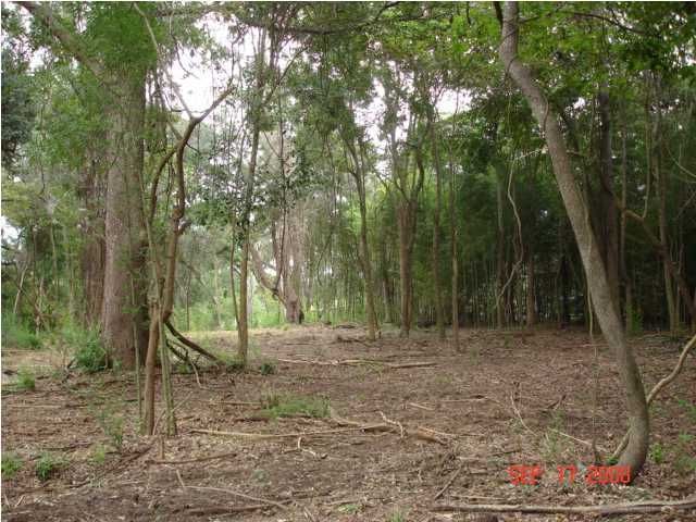 3 Mateeba Gardens Rd, Summerville, SC 29483