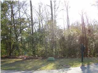 97 Marshwood Dr, Hollywood, SC 29449