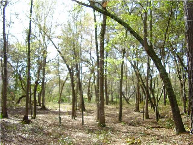 97 Marshwood Dr, Hollywood, SC 29449