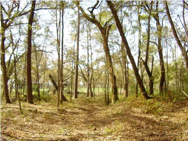 97 Marshwood Dr, Hollywood, SC 29449