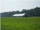 4042 Lady Banks Ln, Hollywood, SC 29470