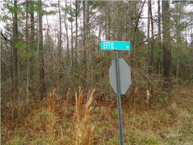 0 Tiger Corner Rd, Shulerville, SC 29453