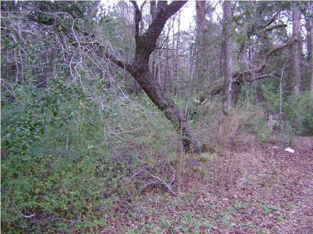 3 Roast Duck Ln, Johns Island, SC 29455