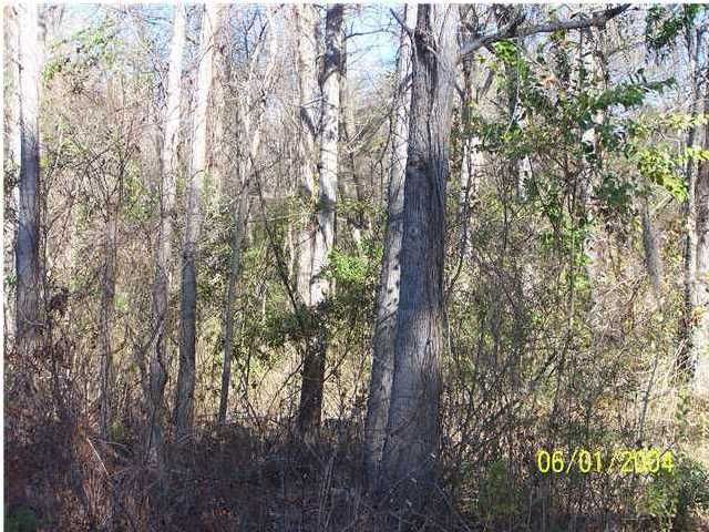 0 Pruitt St, Summerville, SC 29483