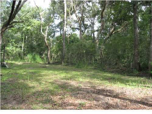 8270 Beach Farm Ln #7, Edisto Island, SC 29438
