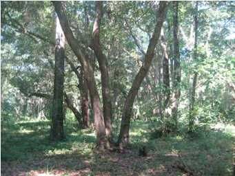 7 Cookelynn Ln, Edisto Island, SC 29438