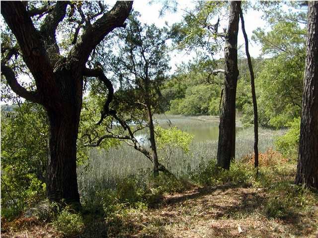8623 Middleton Point Ln, Edisto Island, SC 29438