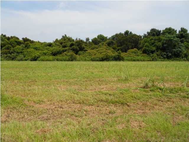 0 Winnies Way, Johns Island, SC 29455