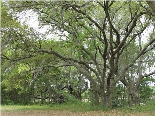 615 Parrot Point Dr LOT 7, Charleston, SC 29412