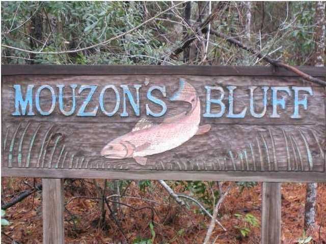 4 Mouzons Bluff Rd, Mcclellanville, SC 29458