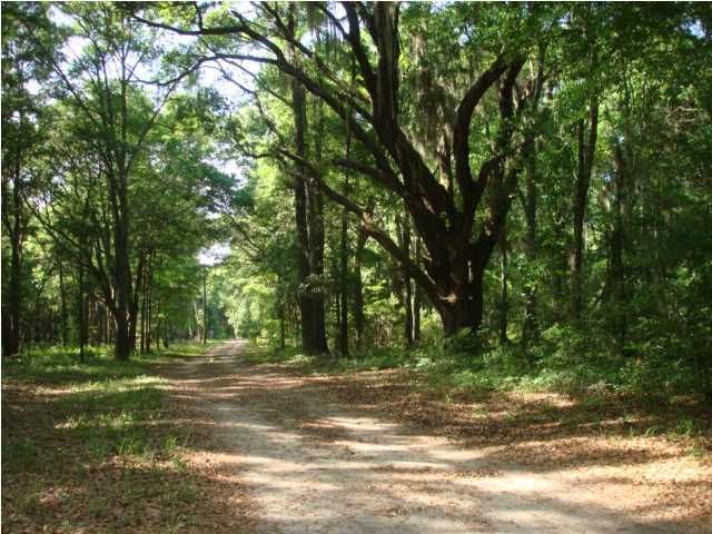 5 California Plantation Ct, Edisto Island, SC 29438