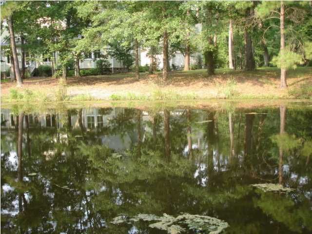 221 Revolutionary Ct, Summerville, SC 29483