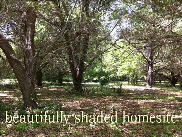 8877 Marsh Aire Ln, Edisto Island, SC 29438