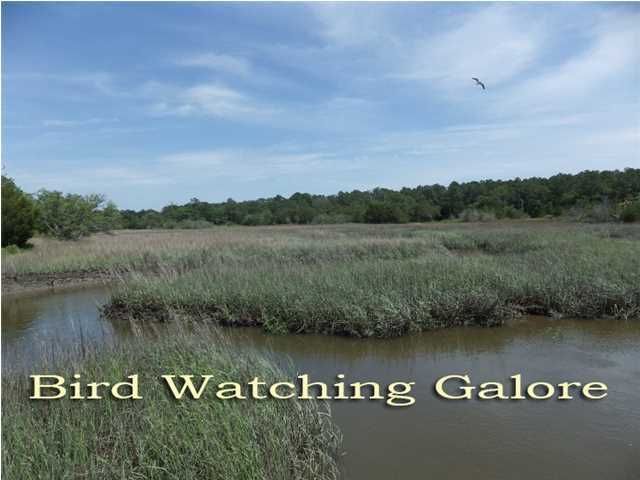 8877 Marsh Aire Ln, Edisto Island, SC 29438