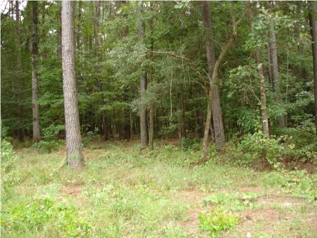 5 Pepper Grass Trl, Ravenel, SC 29470