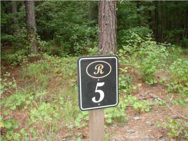 5 Pepper Grass Trl, Ravenel, SC 29470