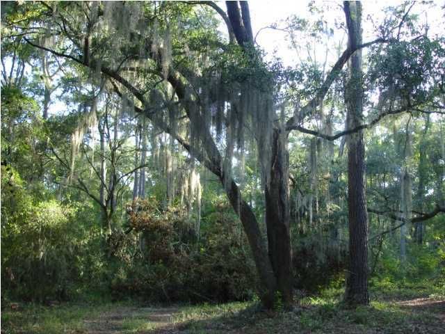41 Buttonbush, Ravenel, SC 29470