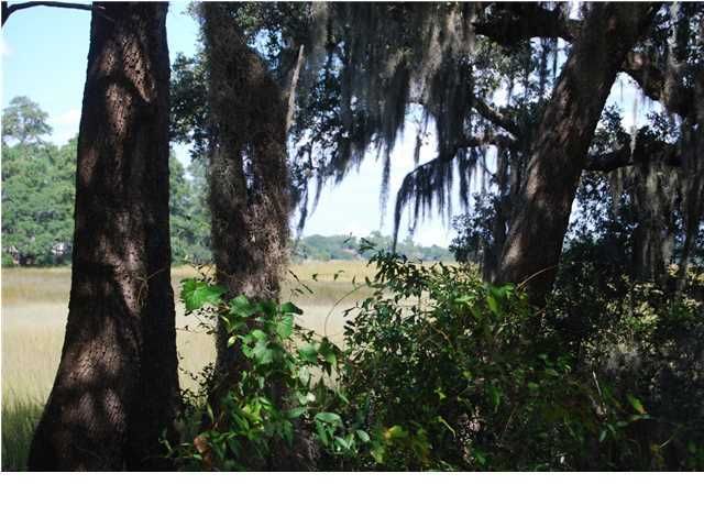 0 Ellis Oaks Ave, James Island, SC 29412