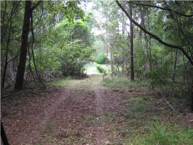 8803 Peters Point Rd, Edisto Island, SC 29438