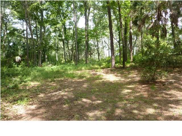 4 Palmetto Pointe Ln, Edisto Island, SC 29439