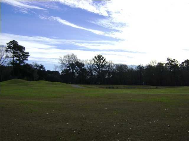4 Silver Oak Ln #C, Hollywood, SC 29449