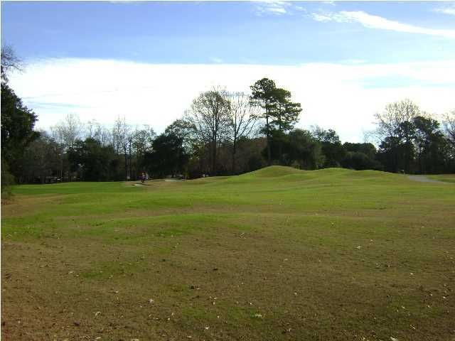 4 Silver Oak Ln #C, Hollywood, SC 29449