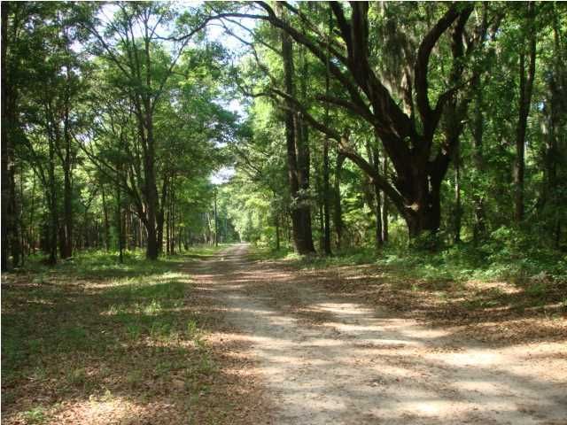 1 California Plantation Ct, Edisto Island, SC 29438