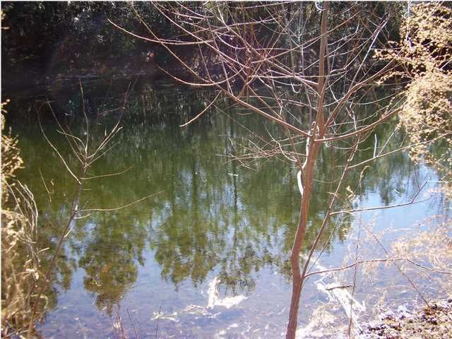 5615 Highway 162, Hollywood, SC 29449