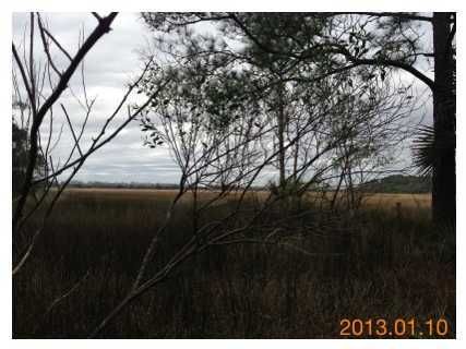 0 Lot B Clements Ferry Rd, Charleston, SC 29492