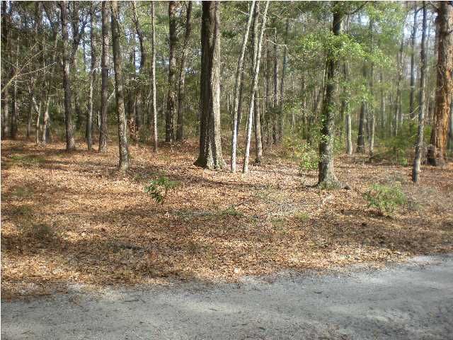 8 Roast Duck Ln, Johns Island, SC 29455