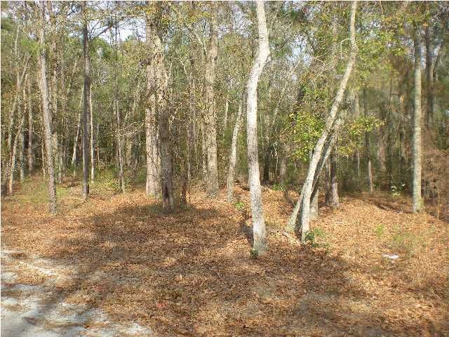 8 Roast Duck Ln, Johns Island, SC 29455