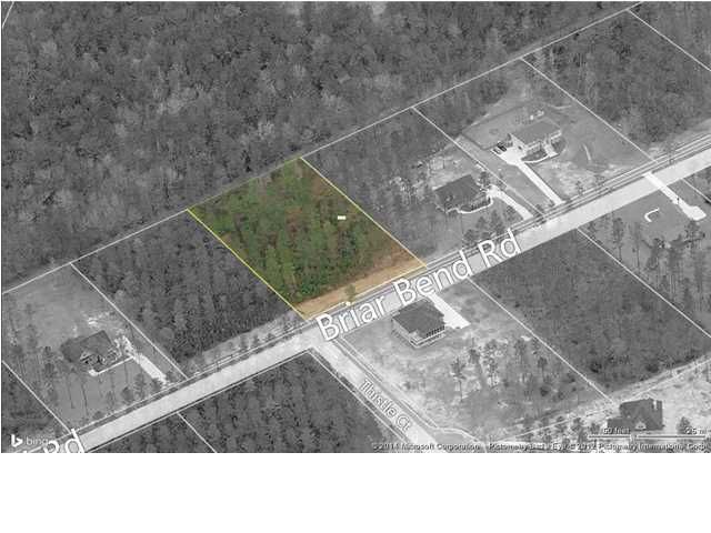 9 Briar Bend Rd, Ridgeville, SC 29472