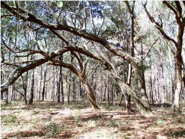 9 Roast Duck Ln, Johns Island, SC 29455