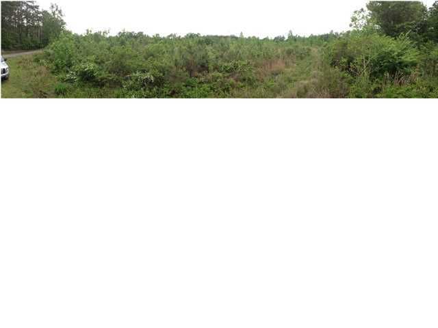 1249 Hard Pinch Rd, Moncks Corner, SC 29461