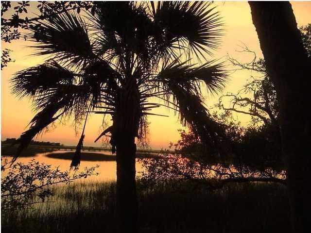 8811 Palmetto Rd, Edisto Island, SC 29438