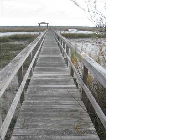 0 Fort Lamar Rd, James Island, SC 29412