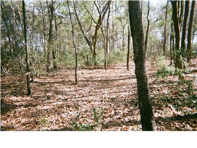 0 Branjess Dr, Johns Island, SC 29455