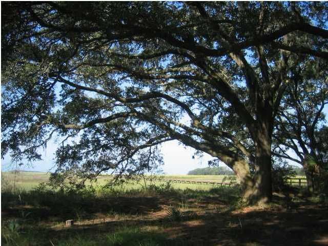 8925 Sandy Creek Rd, Edisto Island, SC 29438