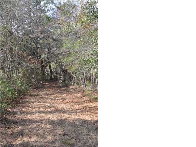 0 Maxville Rd, Awendaw, SC 29429