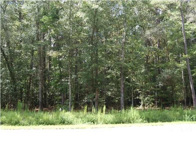 21 Pepper Grass Trl, Ravenel, SC 29470