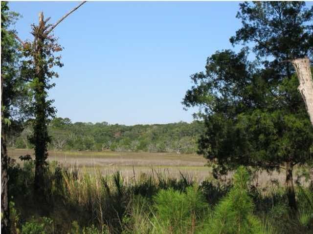 1 Shergould Ln, Edisto Island, SC 29438