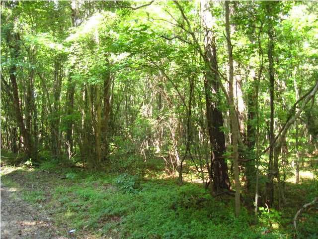 5359 Rosebank Rd, Wadmalaw Island, SC 29487