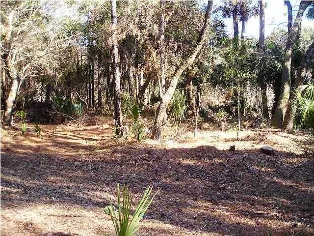 17 Pelican Flight Dr, Isle Of Palms, SC 29451