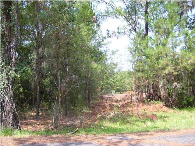 0 Freeman Village Rd, Adams Run, SC 29449