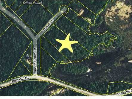 9 Tupelo Trl, Edisto Island, SC 29438
