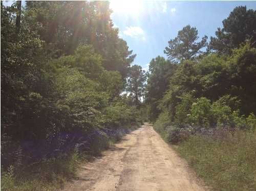 0 Ashley Marie Ln, Moncks Corner, SC 29461