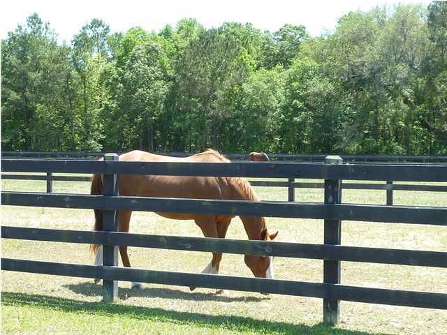 0 War Admiral Ct #26, Mount Pleasant, SC 29466